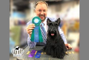 NY based Kingsdale Scottish Terrier finishes AKC Championship in 3 weeks